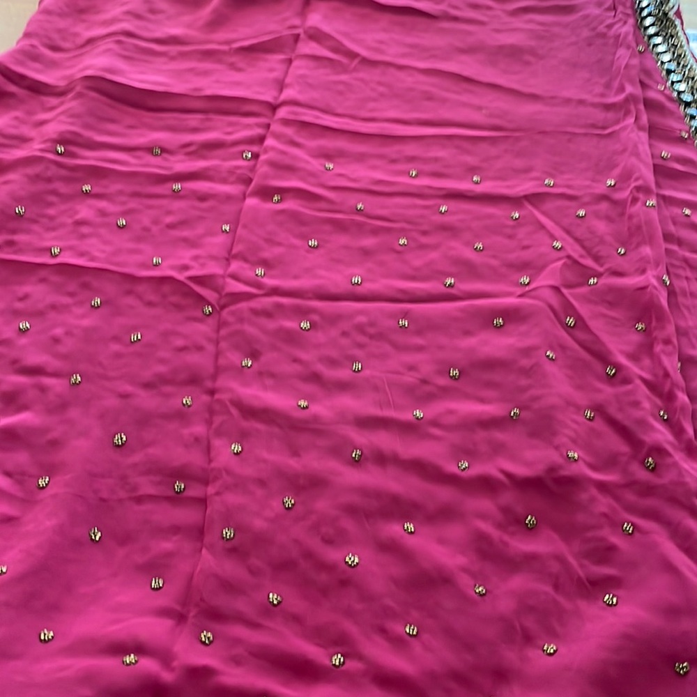 Beautiful Bollywood designer sari saree.
